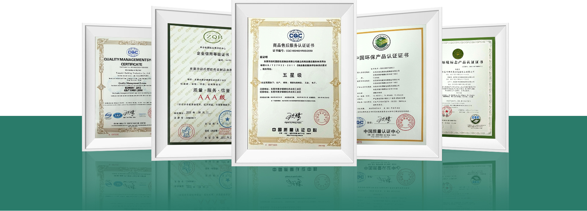 Certificate Picture